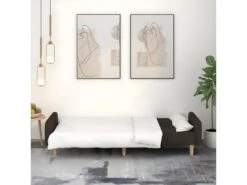 Canapé-lit à 2 Places Marron Foncé Tissu 12 Canapé-lit à 2 Places Marron Foncé Tissu -Deco.fr Soldes Boutique canape 21996427