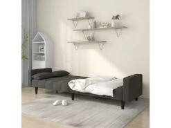 Canapé-lit à 2 Places Avec Deux Oreillers Gris Foncé Velours -Deco.fr Soldes Boutique canape 21997999