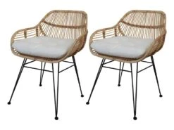 LOT 2 Chaises En Rotin Pieds Métal Noir - IBIZA