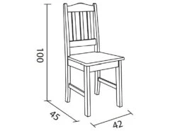 Lot De 2 Chaises De Salle à Manger En Pin Massif Coloris Miel - Longueur 42 X Profondeur 45 X Hauteur 100 Cm -Deco.fr Soldes Boutique chaise 10676525