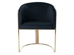 Chaise Avec Accoudoirs En Velours Et Métal - Noir Et Doré - JOSETHE De Pascal MORABITO -Deco.fr Soldes Boutique chaise 10855217