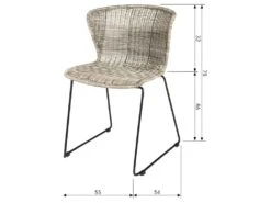 Wings - Lot De 2 Chaises Indoor/outdoor En Résine Tressée - Couleur - Gris Clair -Deco.fr Soldes Boutique chaise 13389699
