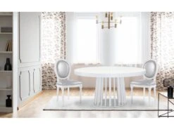 Lot De 2 Chaises Médaillon Louis XVI Simili (P.U) Silver -Deco.fr Soldes Boutique chaise 20010481