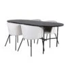Skate Ensemble Table, Table Noir Et 4 Berit Chaises Velours Beige.