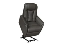 Fauteuil Relax Releveur Cuir Brun Taupe - JEANINE -Deco.fr Soldes Boutique fauteuil 11123749