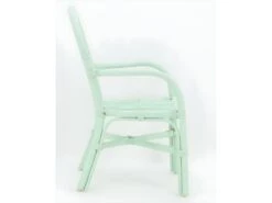 Fauteuil Enfant En Rotin Joseph Vert -Deco.fr Soldes Boutique fauteuil 18064753