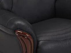 Fauteuil 100% Cuir De Buffle ADELAIDE - Noir 7 Fauteuil 100% Cuir De Buffle ADELAIDE - Noir -Deco.fr Soldes Boutique fauteuil 330345