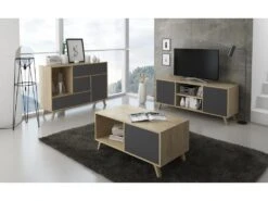 Meuble TV 100 Avec Porte A Gauche, WIND, Puccini, Porte Gris Anthracite, 95x40x57cm -Deco.fr Soldes Boutique meuble tv 10003813