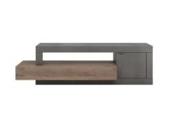 Meuble TV Avec 1 Porte, 1 Tiroir Et 1 Niche - Naturel Foncé Et Anthracite - RUSELO -Deco.fr Soldes Boutique meuble tv 14925589