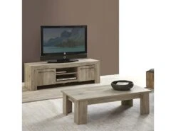 VIDSEL - Meuble TV 2 Portes