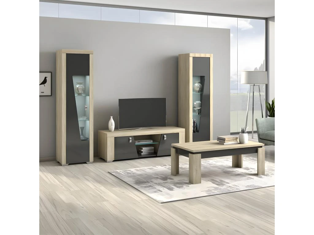 GUEST - Meuble TV 2 Portes Aspect Chêne Miel 1 GUEST - Meuble TV 2 Portes Aspect Chêne Miel