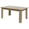 IRIS - Table Rectangulaire Allongeable Imitation Bois -Deco.fr Soldes Boutique table a manger 10032239