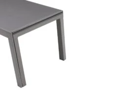 Table à Manger Extensible 4 à 14 Couverts En Verre Trempé Et Métal - Gris - CHELDY 29 Table à Manger Extensible 4 à 14 Couverts En Verre Trempé Et Métal - Gris - CHELDY -Deco.fr Soldes Boutique table a manger 14290769