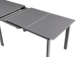 Table à Manger Extensible 4 à 14 Couverts En Verre Trempé Et Métal - Gris - CHELDY 27 Table à Manger Extensible 4 à 14 Couverts En Verre Trempé Et Métal - Gris - CHELDY -Deco.fr Soldes Boutique table a manger 14290775