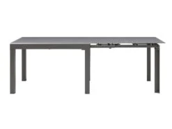 Table à Manger Extensible 4 à 14 Couverts En Verre Trempé Et Métal - Gris - CHELDY