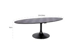 Table à Dîner Blax Ovale 230x100 7 Table à Dîner Blax Ovale 230x100 -Deco.fr Soldes Boutique table a manger 15467593