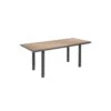 Table De Repas Noyer/Gris - LIBA -Deco.fr Soldes Boutique table a manger 19899191