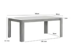 Table De Repas Extensible 160/206 Plateau Blanc Laqué Et Pieds Gris - ALEXIANE -Deco.fr Soldes Boutique table a manger 9178753