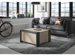 Table Basse Avec Rangement Bar Aurora - Fabrication Française