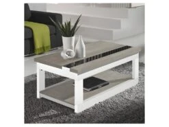 Table Basse Relevable ChĂȘne Clair/Bois Blanc - UPTI