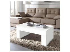 Table Basse Relevable Bois Blanc - MOLY