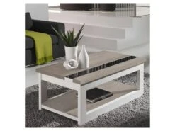 Table Basse Relevable ChĂȘne Clair/Blanc - UPTI