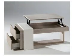 Table Basse Relevable 2 Tiroirs Chêne Clair/Blanc - ESTEBAN -Deco.fr Soldes Boutique table basse 22993675
