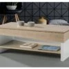 Table Basse Relevable Chêne Blond/Bois Blanc - BERLIOSE 20 Table Basse Relevable Chêne Blond/Bois Blanc - BERLIOSE -Deco.fr Soldes Boutique table basse 22993843