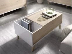 Table Basse Relevable KOLYMA - 1 Niche - Coloris : Chêne & Blanc