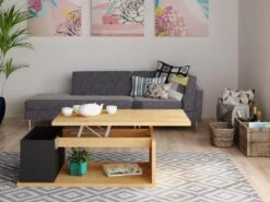 Table Basse ALDANA - Plateau Relevable - Bois Et MDF - Chêne Et Anthracite 12 Table Basse ALDANA - Plateau Relevable - Bois Et MDF - Chêne Et Anthracite -Deco.fr Soldes Boutique table basse 399819