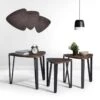 Ensemble De 3 Tables Gigognes Au Style Industriel Noir Et Bois KAUWHATA MDF HM 6 Ensemble De 3 Tables Gigognes Au Style Industriel Noir Et Bois KAUWHATA MDF HM -Deco.fr Soldes Boutique table basse 9513439