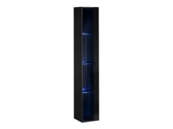 Vitrine Suspendue Noire Avec 1 Porte Vitrée Et éclairage LED Inclus. Collection SWITCH.
